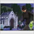 Sims 3